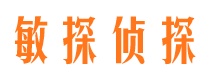 灯塔市私家侦探公司